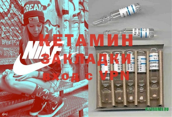 стаф Алзамай