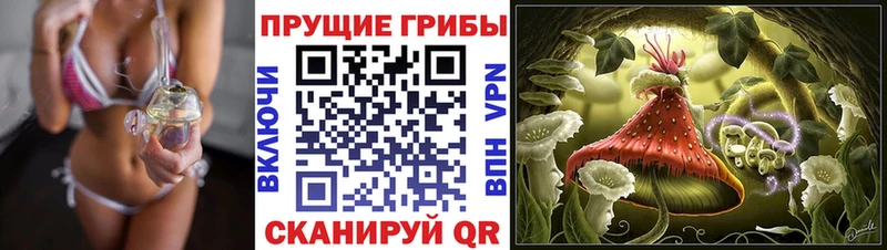 Псилоцибиновые грибы GOLDEN TEACHER цены наркотик Венёв